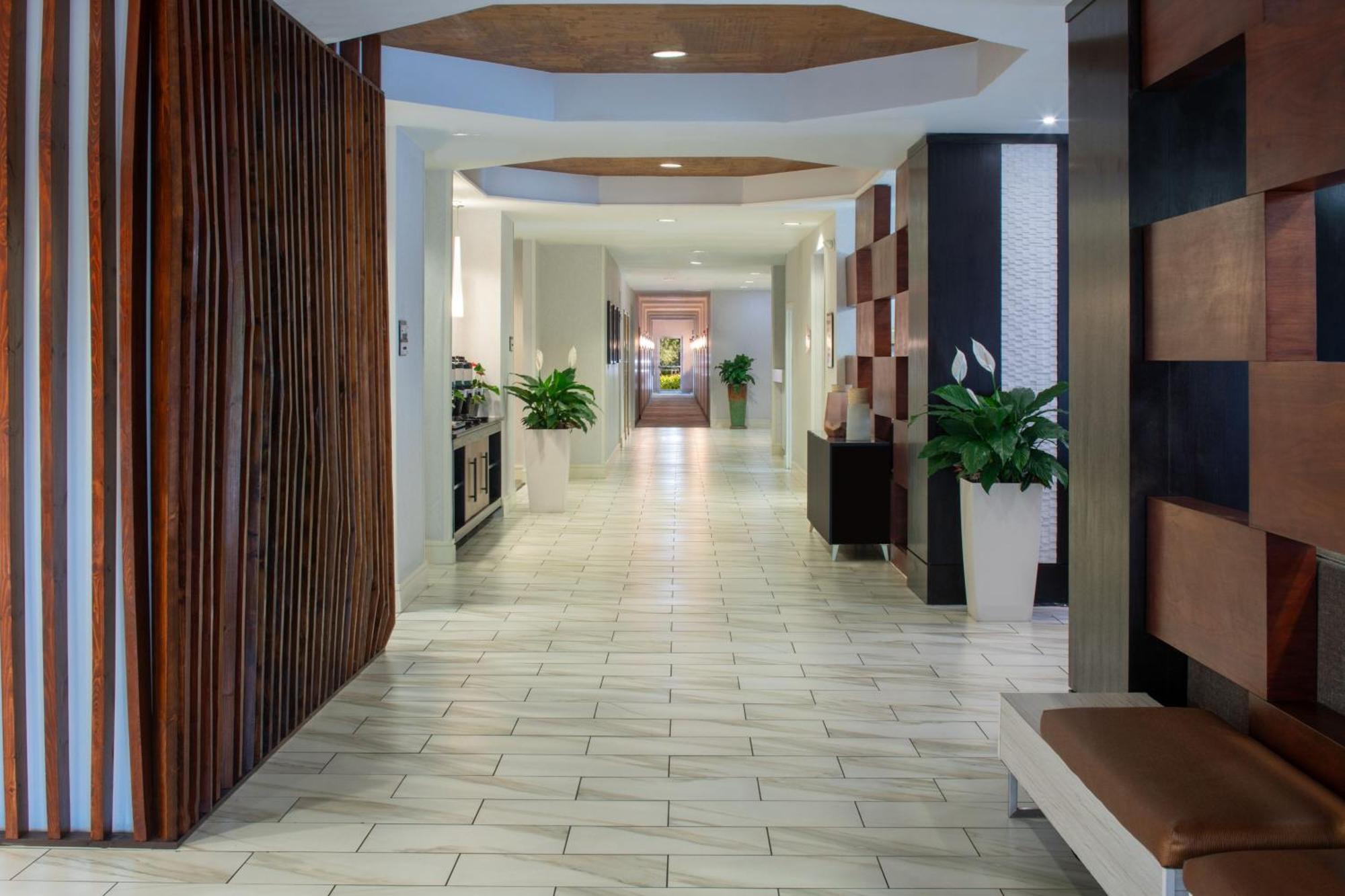 Springhill Suites By Marriott Orlando Convention Center Williamsburg Ngoại thất bức ảnh